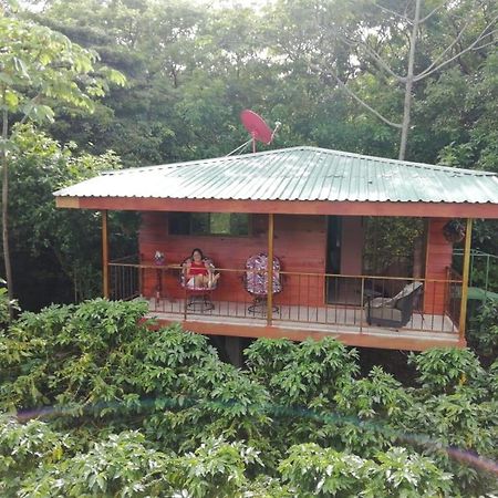 勒罗生态可持续农场山林小屋 Monteverde 外观 照片
