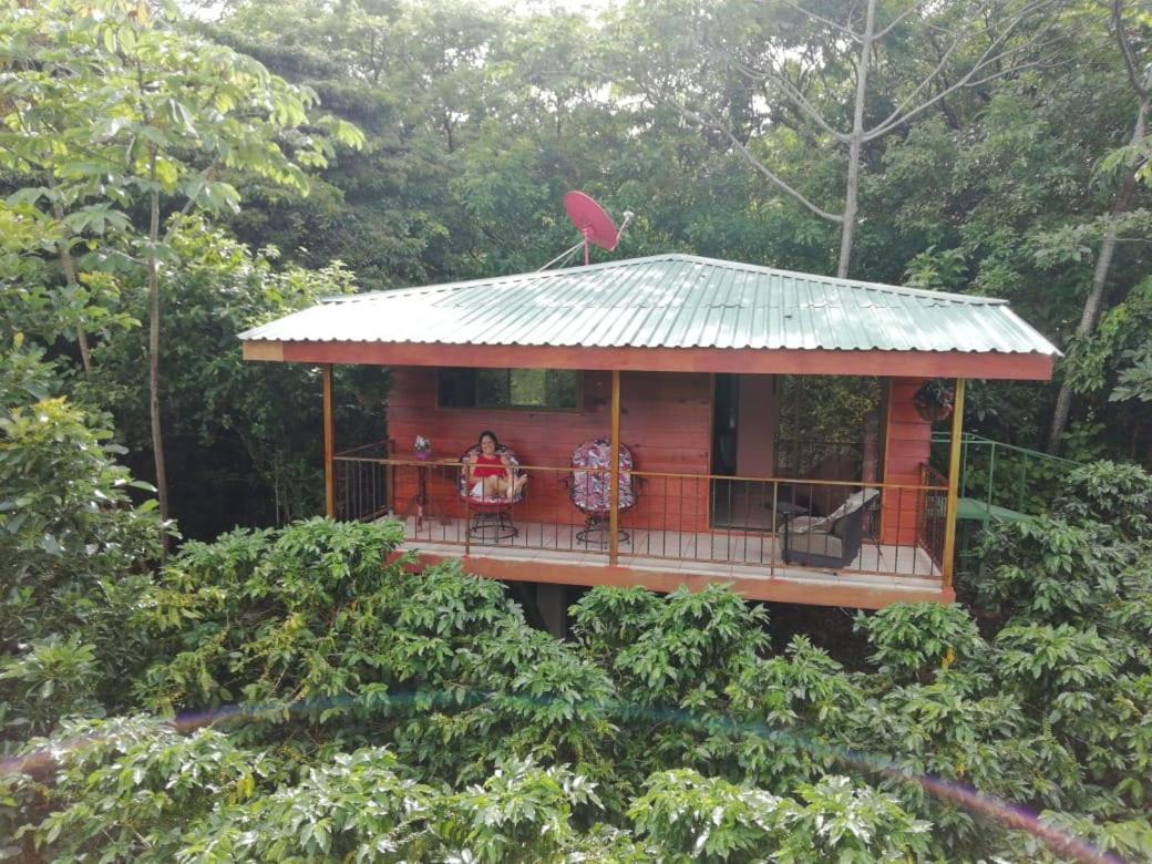勒罗生态可持续农场山林小屋 Monteverde 外观 照片