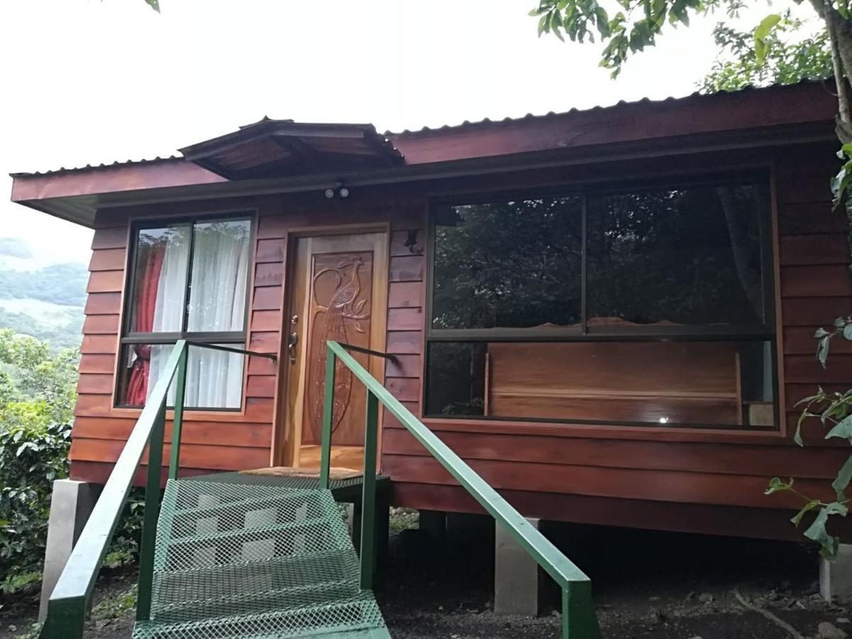 勒罗生态可持续农场山林小屋 Monteverde 外观 照片