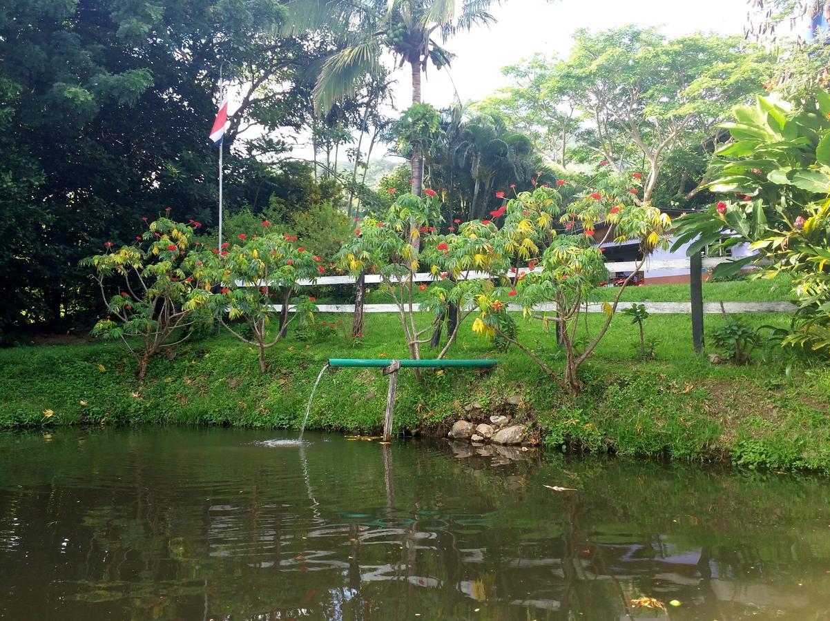 勒罗生态可持续农场山林小屋 Monteverde 外观 照片