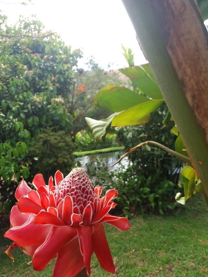 勒罗生态可持续农场山林小屋 Monteverde 外观 照片