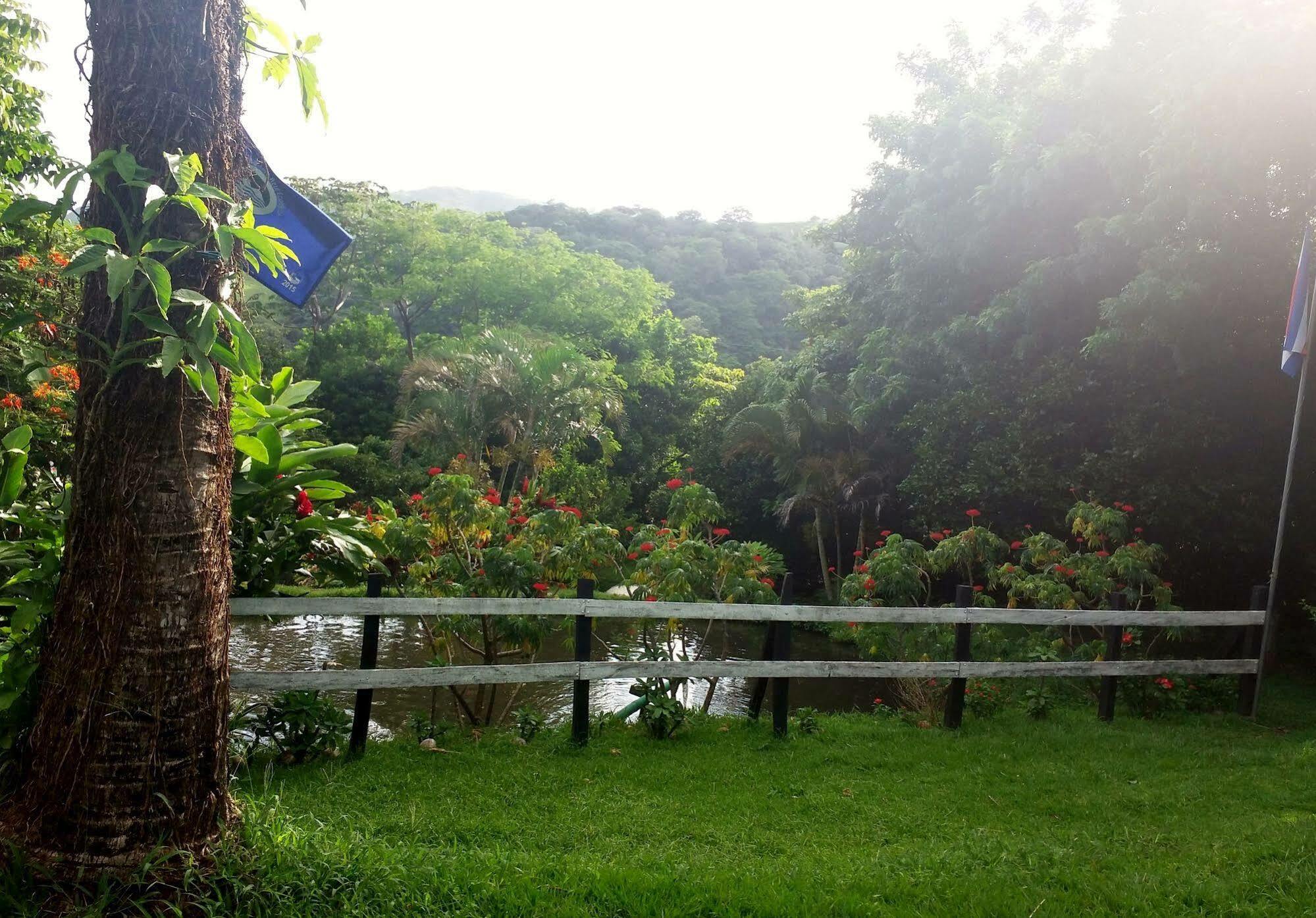 勒罗生态可持续农场山林小屋 Monteverde 外观 照片