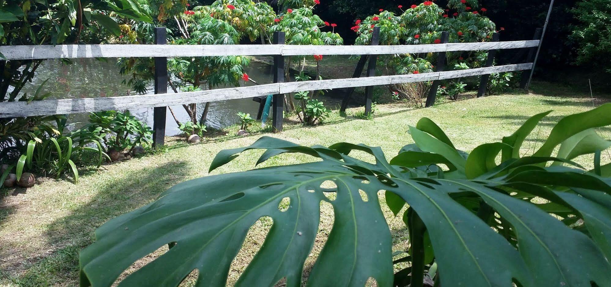 勒罗生态可持续农场山林小屋 Monteverde 外观 照片
