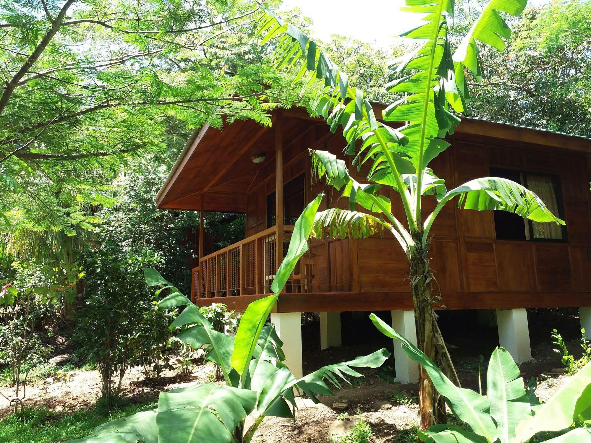 勒罗生态可持续农场山林小屋 Monteverde 外观 照片