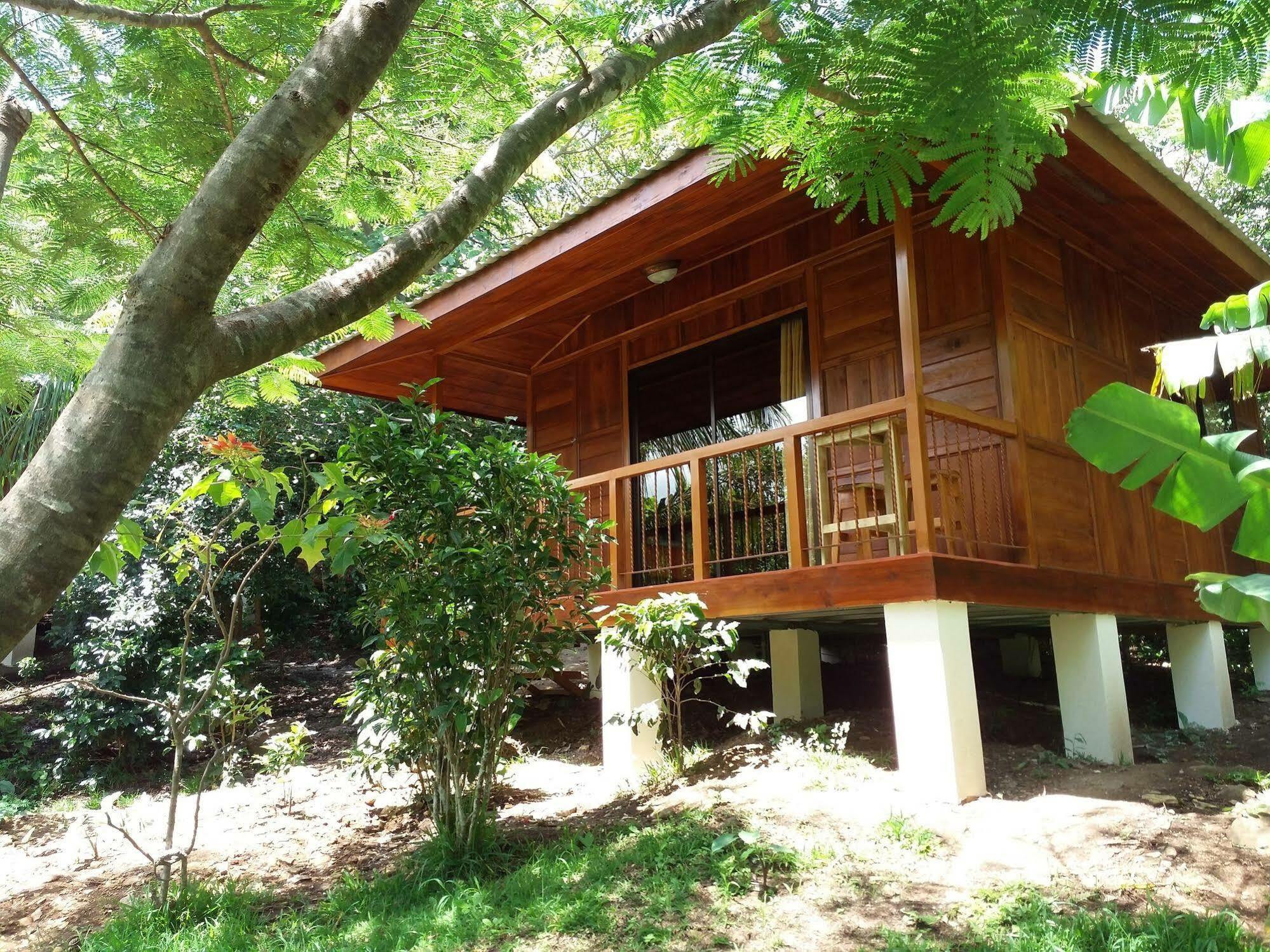 勒罗生态可持续农场山林小屋 Monteverde 外观 照片