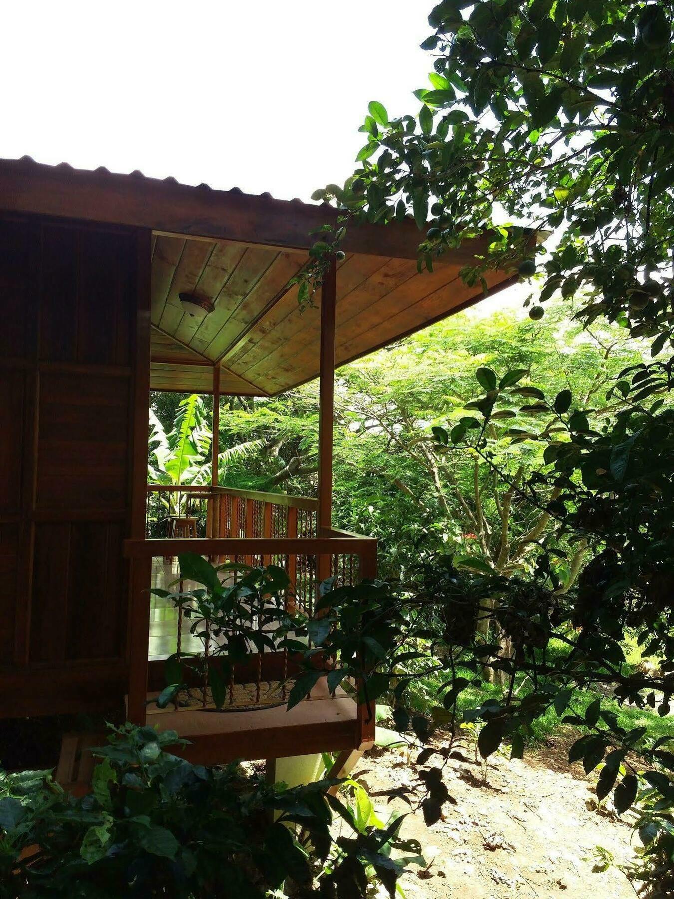 勒罗生态可持续农场山林小屋 Monteverde 外观 照片