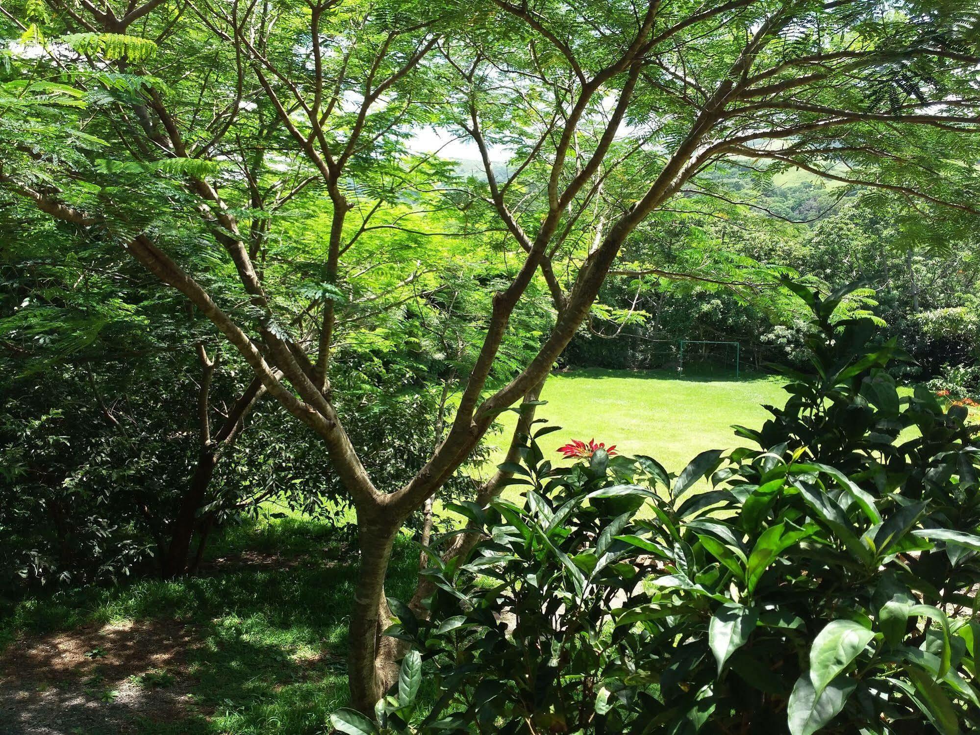 勒罗生态可持续农场山林小屋 Monteverde 外观 照片