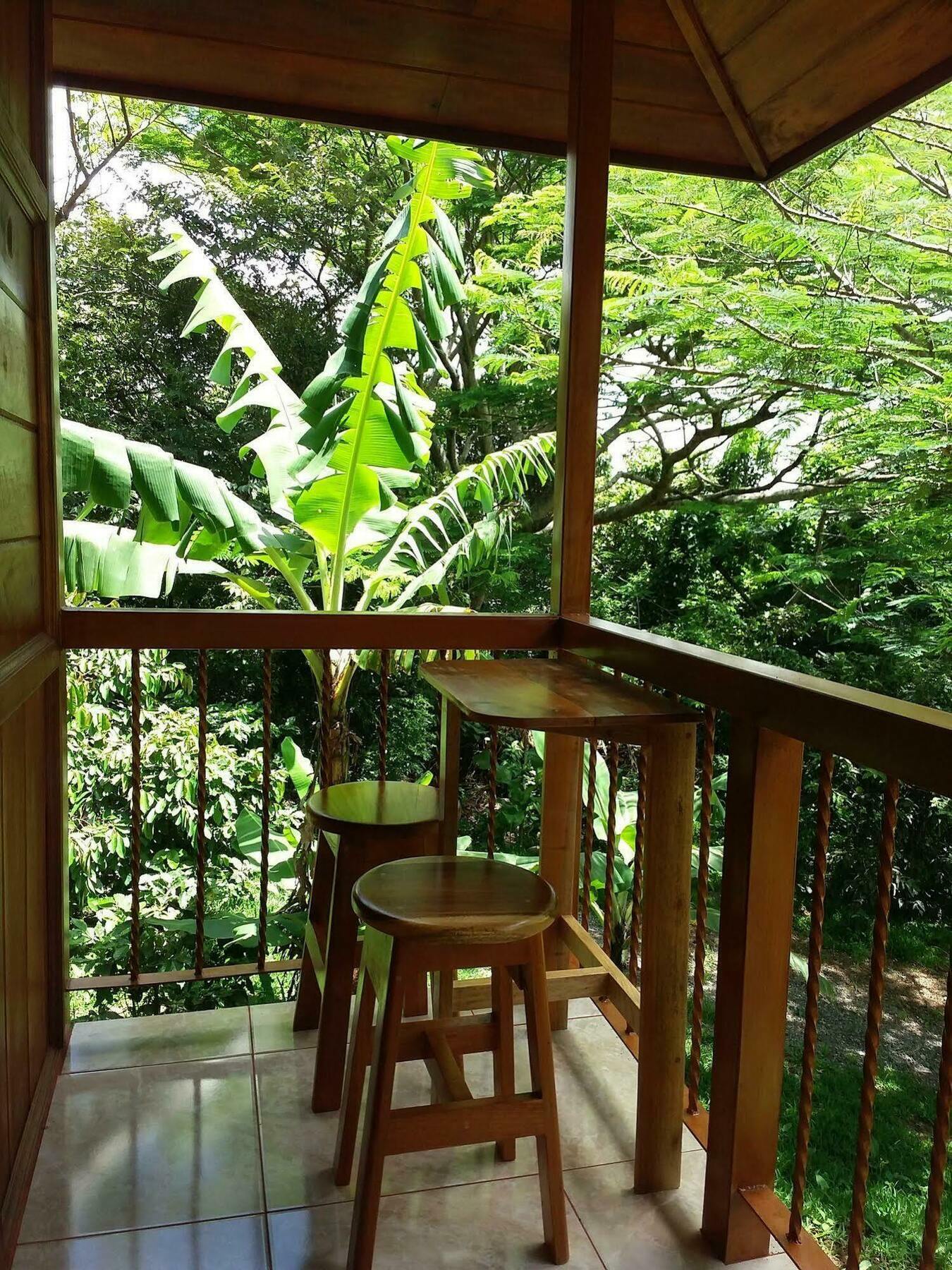 勒罗生态可持续农场山林小屋 Monteverde 外观 照片