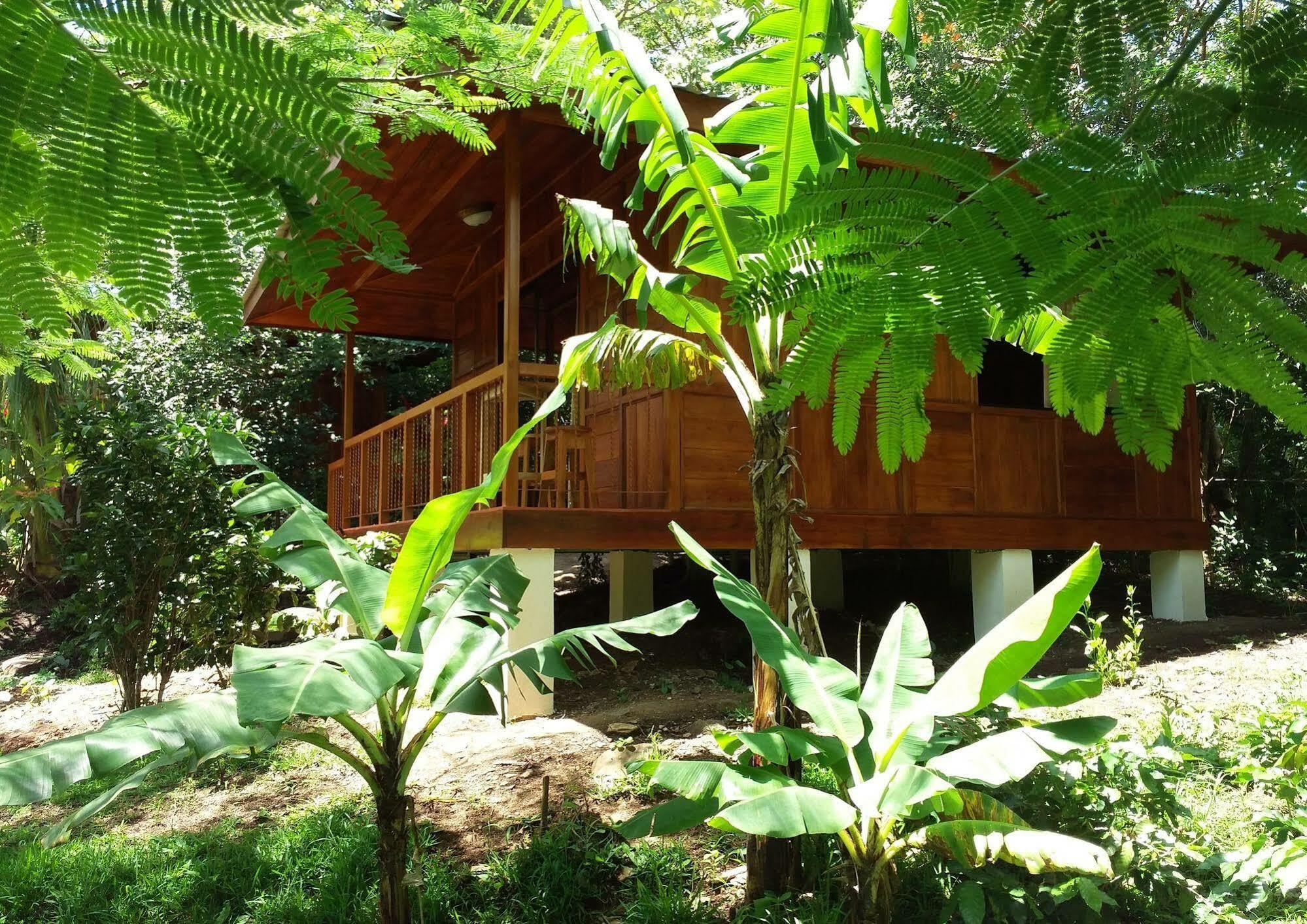 勒罗生态可持续农场山林小屋 Monteverde 外观 照片