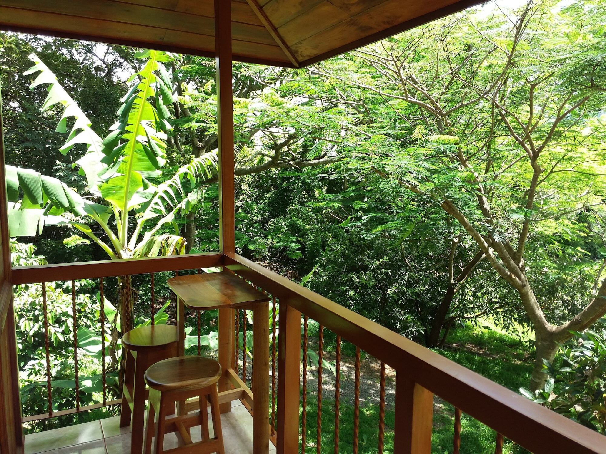 勒罗生态可持续农场山林小屋 Monteverde 外观 照片